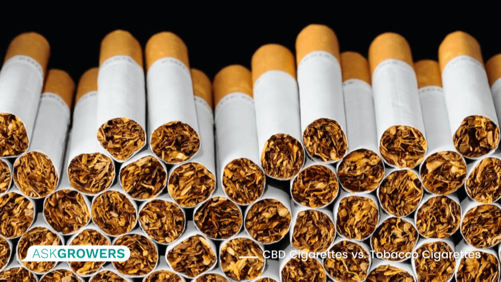 health risks of tobacco cigarettes